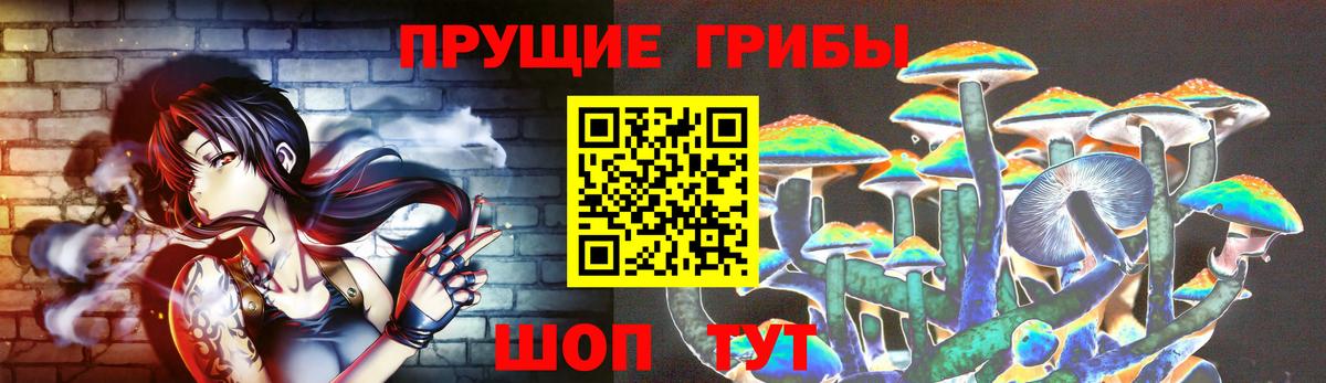 Псилоцибиновые грибы Psilocybine cubensis  Вход с VPN  купить  цена  Тольятти  Галлюциногенные грибы Psilocybe 